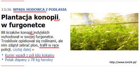 Plantacja konopii w furgonetce