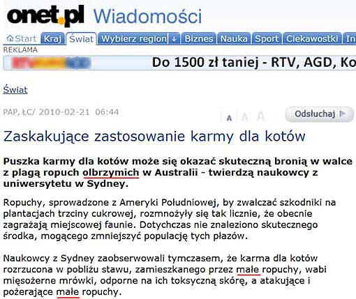 zastosowanie karmy dla kotw do zwalczania maych ropuch olbrzymich w Australii, Sydney